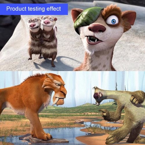 Product testing effect